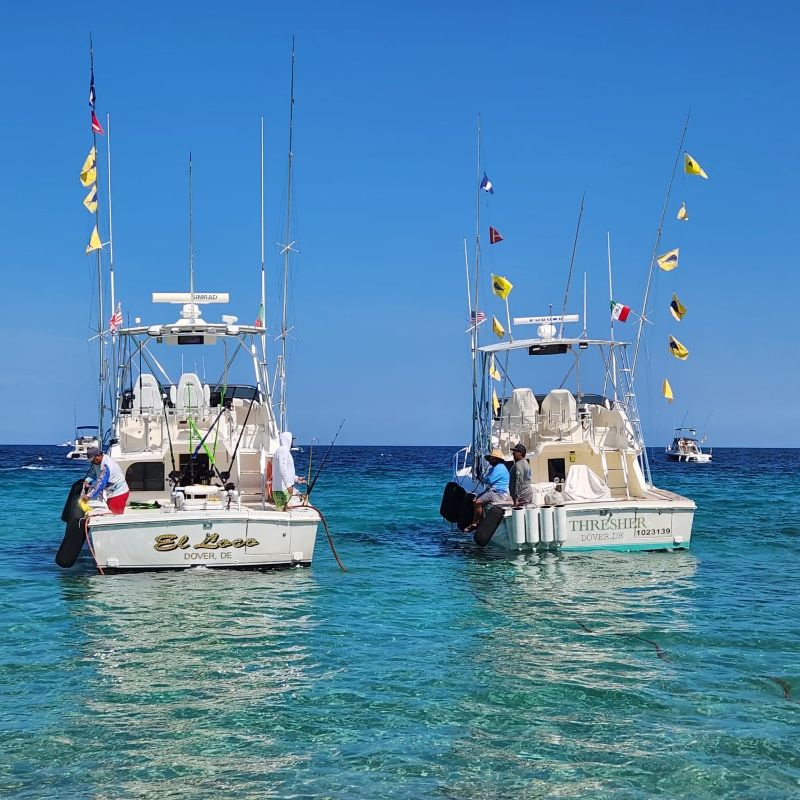 blackfin boats